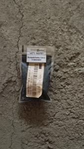 Փական/Safety Valve/ 3128253802