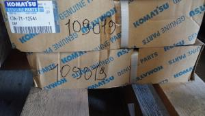 17A-71-12541 կափարիչ