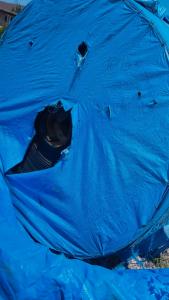 Ժապավեն փոխակրիչի Лента конвейерная резинотканевая шахтная трудносгораемая 1200 х EP1600/4 x 6 x 3 x FR ISO340 x ME