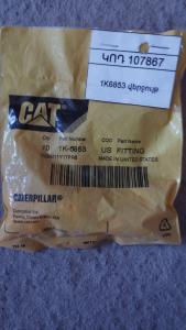 1K6853 վերջույթ