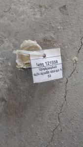 Արգելակման գլխ.գլանի ռեմ-կտ Գ-53