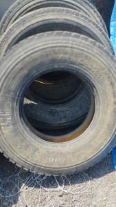 Անվադող/Հոնդայի/վերանորոգված պրոտեկտորներով